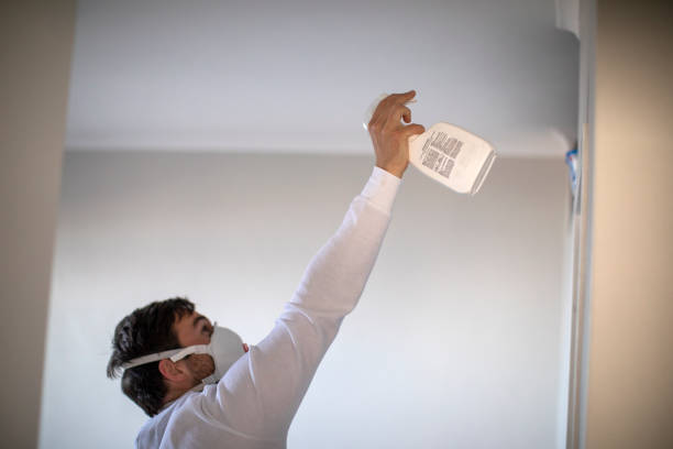 Best Attic Mold Remediation in Lake Shore, WA