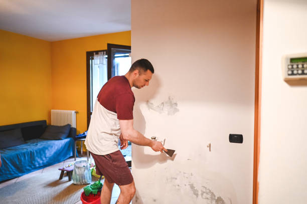 Best Post-Flood Mold Remediation in Lake Shore, WA