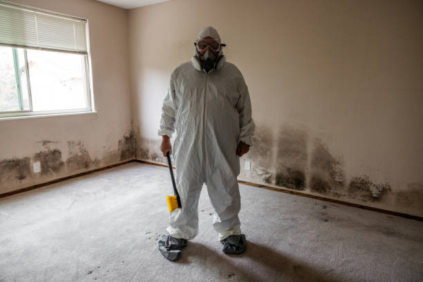 Best Industrial Mold Remediation in Lake Shore, WA